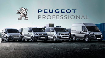 Peugeot Profesional