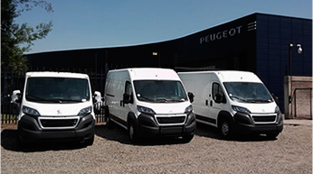 Peugeot Profesional